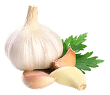 Garlic and herbs