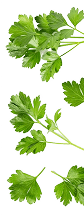Parsley decoration