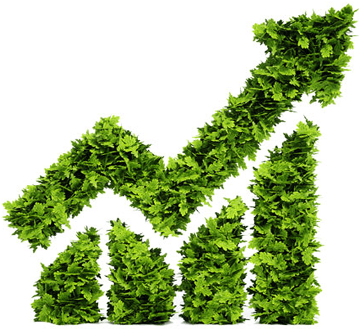 Sustainable Growth Graph
